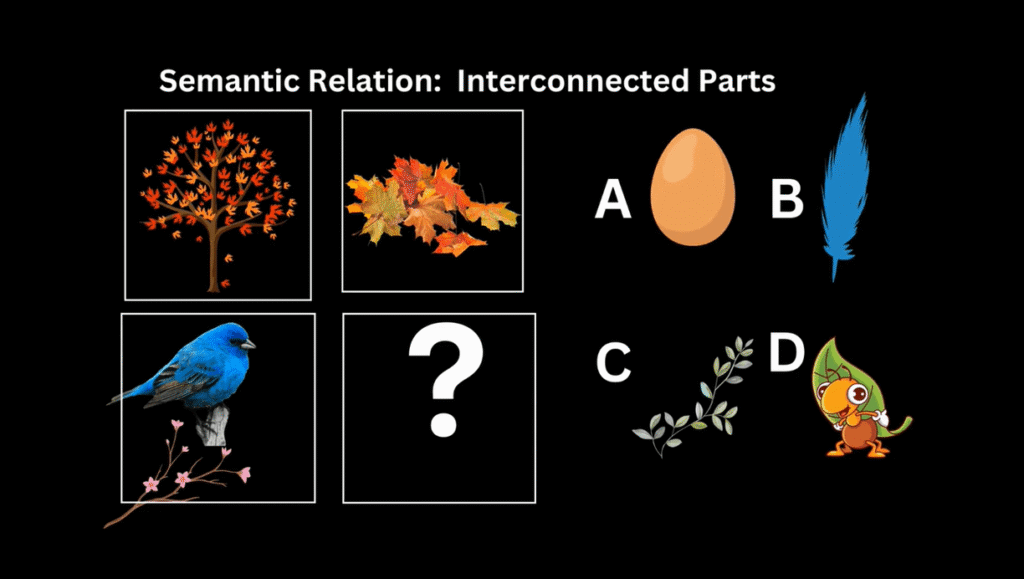 the shiny star lab project of iq and math booster