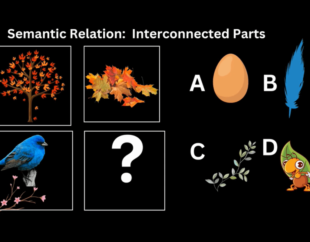 the shiny star lab project of iq and math booster